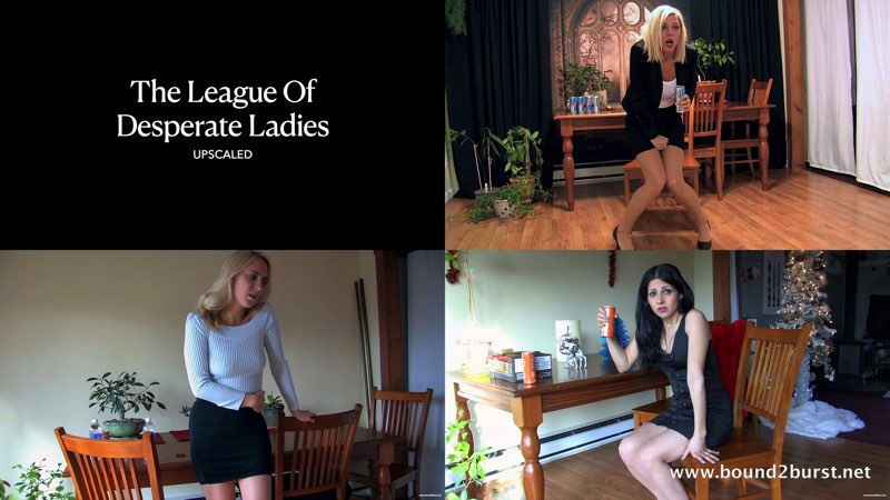 the_league_of_desperate_ladies_upscaled_800.jpg